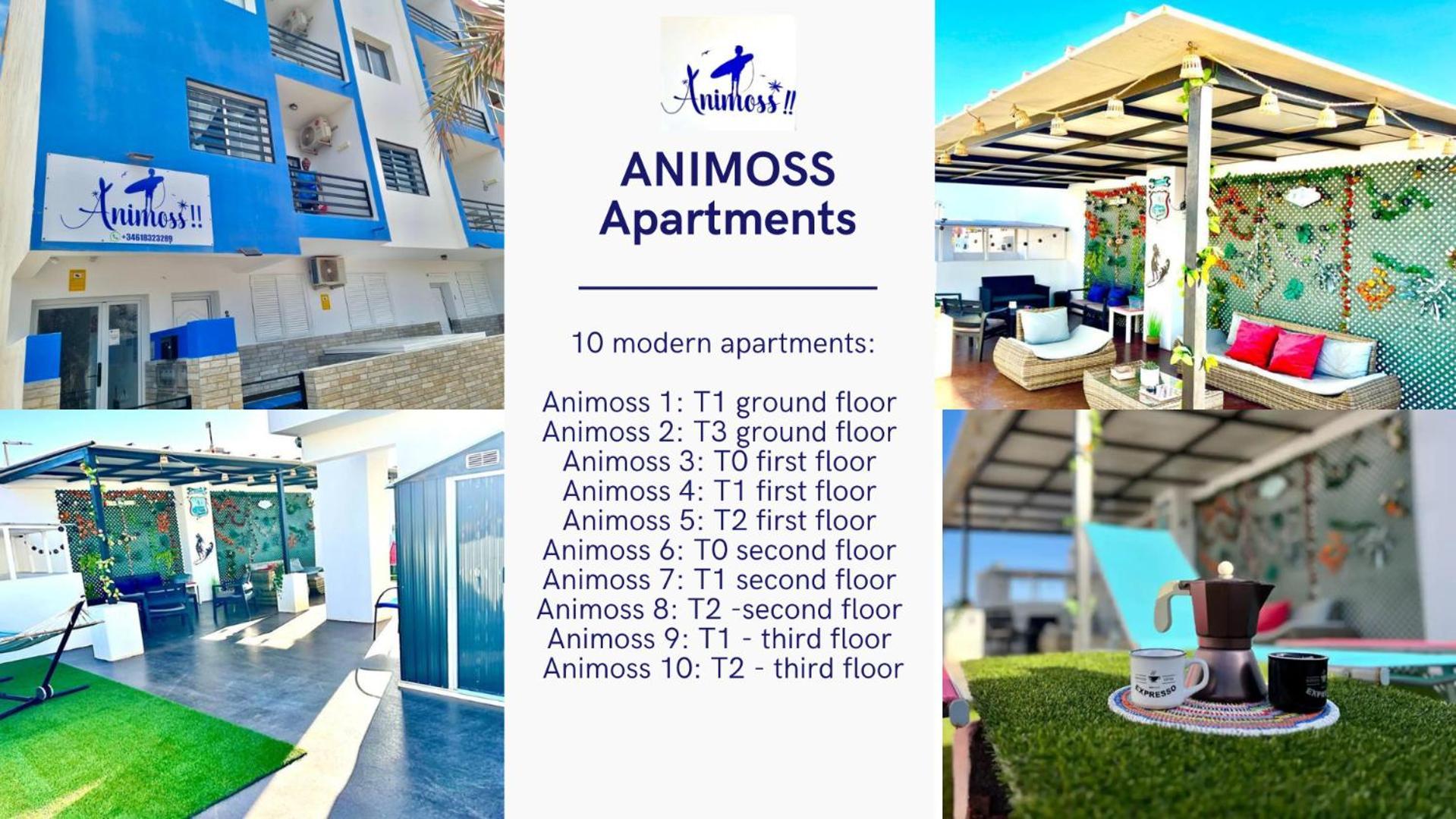 Animos! Apartments - 10 Modern Apartments Near The City & Beach, Perfect For Nomads, Travellers, Families, Watersports! Santa Maria Exterior foto